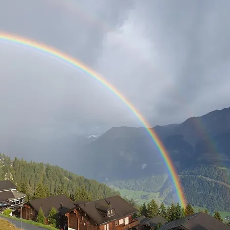 Apartamento Tamara Parterre *